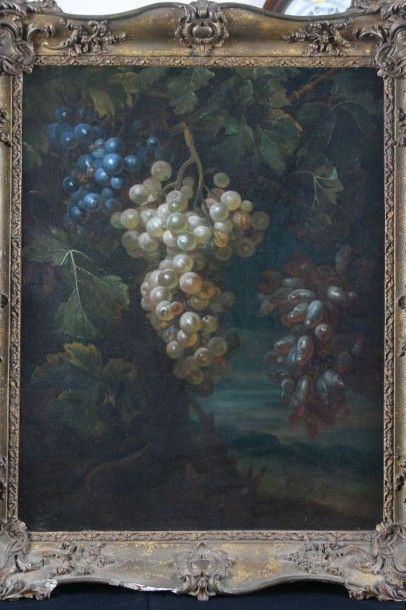 Entourage de Pierre Dupuis (1610-1682) «Nature morte aux raisins». Huile sur toile....