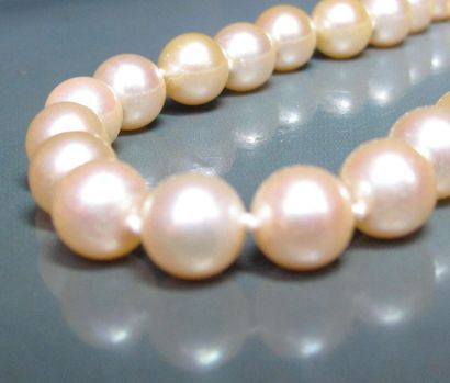 null Collier de perles de culture diamètre 8/8.5 mm (Japon) fermoir en or jaune 750°/00....