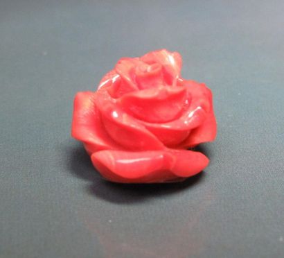 null Rose en corail sculpté. Colle. 5.40 g