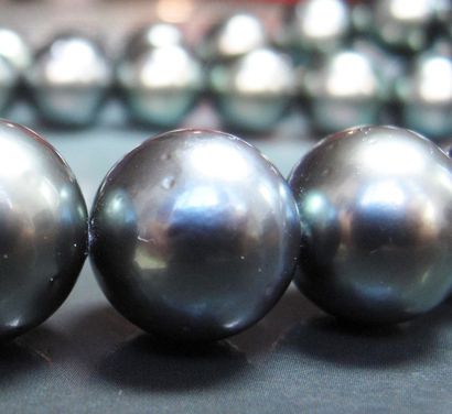 null Collier de perles de culture de Tahiti diamètre 12 à 14.8 mm, fermoir navette...