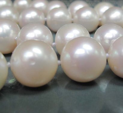 null Collier de perles de culture diamètre 12 mm environ. L : 45 cm
