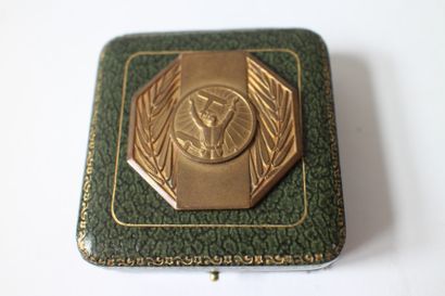 null . MEETING D’AVIATION

Médaille octogonale en bronze doré gravée par Paul Fraisse....