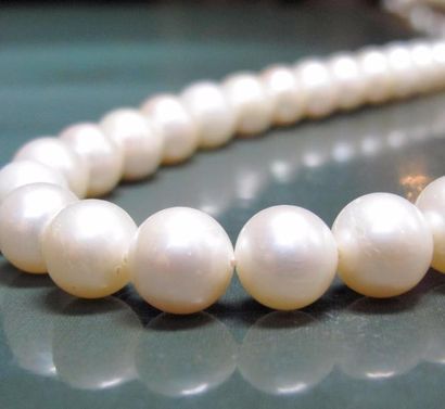  Long collier de perles de culture. L : 80 cm
