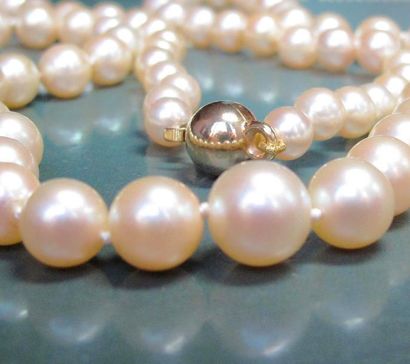   Collier de perles de culture en chute diamètre 5.5 à 8.9 mm (Japon), fermoir doré....