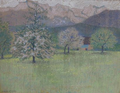 null RITLENG Georges (1875- ?) : « Paysage de montagne ». Pastel signé en bas à gauche....