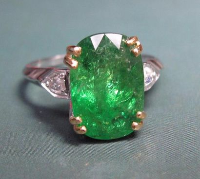 null Bague en or deux tons 750°/00 (tête d'aigle) centrée d'un grenat vert tsavorite...