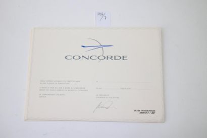 null POCHETTES A COURRIER CONCORDE AIR France

Deux pochettes contenant du papier...