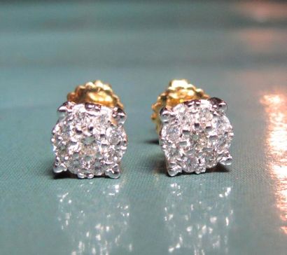 null Paire de puces en or deux tons 750°/00, serties de diamants taille brillant...