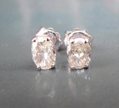 null Paire de puces en or gris 750°/00, serties chacune d'un diamant ovale de 1 carat...