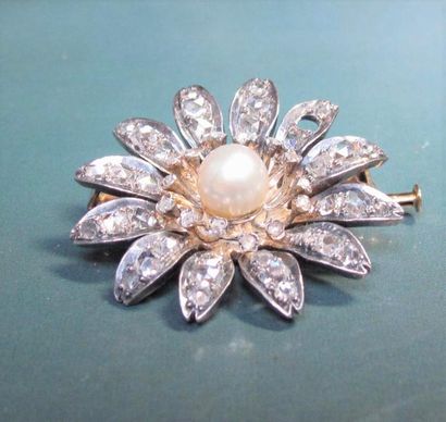 null Broche églantine en or 750°/00 et argent 800, sertie de diamants taillés en...