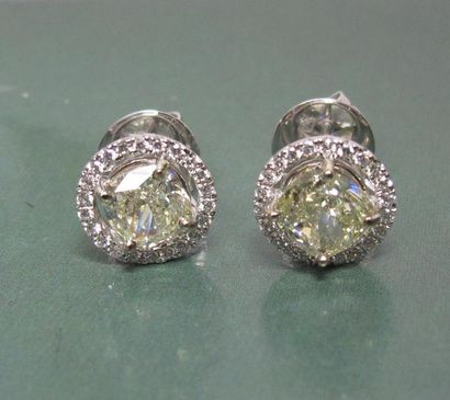   Boucles d'oreilles en or gris 750°/00 serties chacune d'un diamant jaune taille...
