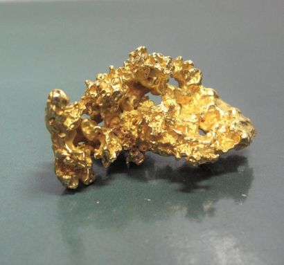   Grande pépite d'or. 32.30 g. H: 4 cm