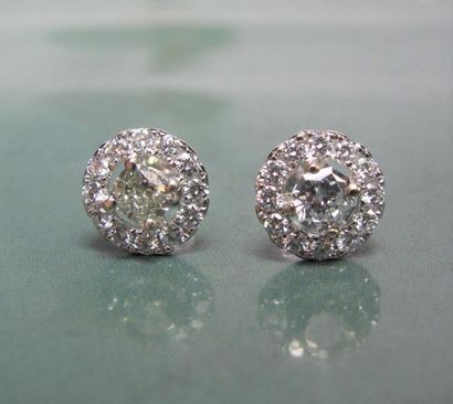   Paire de boucles d'oreilles en or gris 750°/00, serties chacune d'un diamant, entourage...