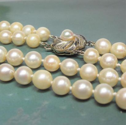   Collier deux rangs de perles de culture (japon), diamètre 7/7.5 mm. Fermoir rosace...