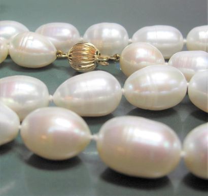   Collier de perles de culture ovales 11 mm environ, fermoir boule côtelée, en or...