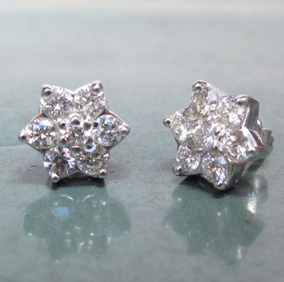   Paire de boucles d'oreilles fleurs en or gris 750°/00, serties de diamants taille...