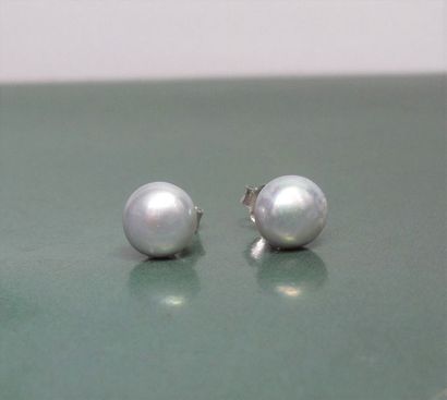   Paire de puces, serties de perles de culture bouton grises teintées diamètre 6/6.5...