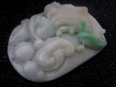 Jade Chine, pendentif en jade/ Jadéite de grade A

Diamètre 6.7x5 cm


