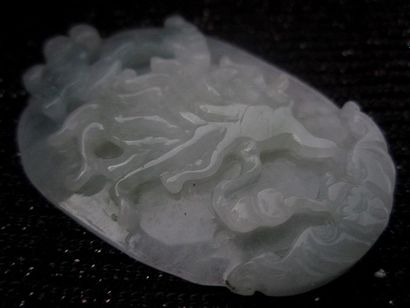 Jade Chine, pendentif en jade/ Jadéite de grade A

5x3.5cm

