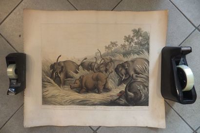 null ELEPHANTS - RHINOCEROS - CHASSE, 'Un Rhinocéros chassé par des éléphants', gravure,...