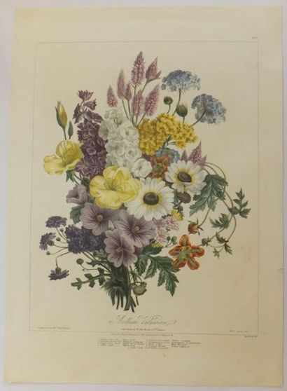 null FLEURS, Lot de deux lithographies : - Bouquets variés N°4, par Jules SETTE (XIXème...