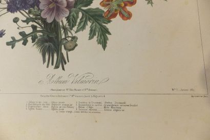 null FLEURS, Lot de deux lithographies : - Bouquets variés N°4, par Jules SETTE (XIXème...