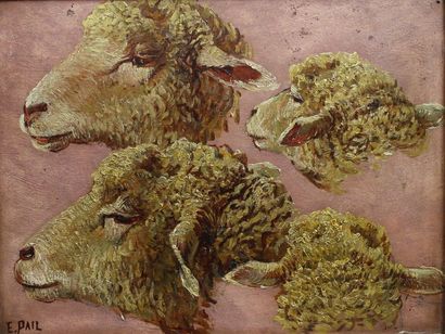 null Edouard PAIL (1851-1916) : « Etude de têtes de moutons ». Huile sur carton signée...