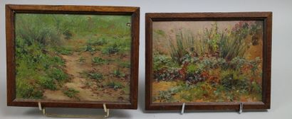 null Edouard PAIL (1851-1916) : « Végétations ». Deux huiles sur cartons formants...