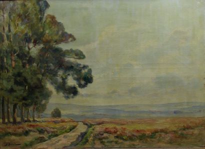 null DARNET Georges, 1859-1936, Chemin de Roziers d'Egleton, Corrèze, huile sur toile,...