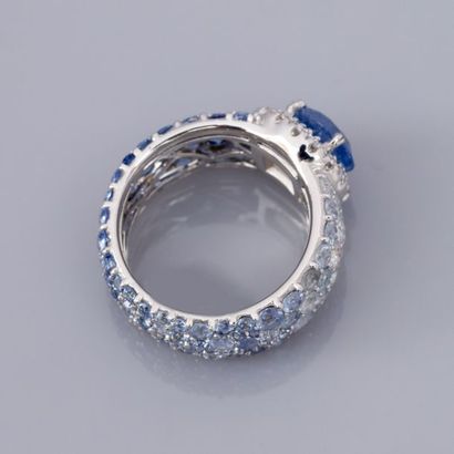 null Bague en or gris 750°/00, sertie d 'un saphir ovale de Birmanie de 2.93 carats,...