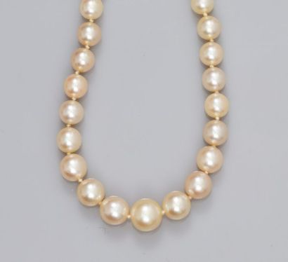 null Collier de perles de culture en chute diamètre 3 à 7 mm (Japon), fermoir fuseau...