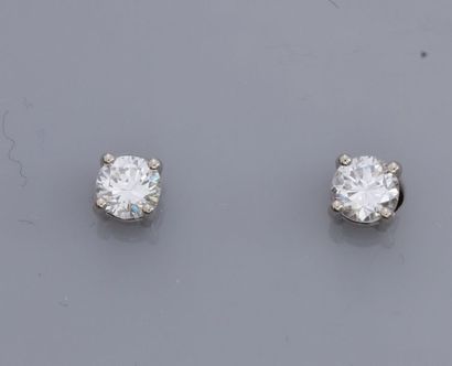 null Paire de puces en or gris 585°/00, chacune est sertie d'un diamant taille brillant...