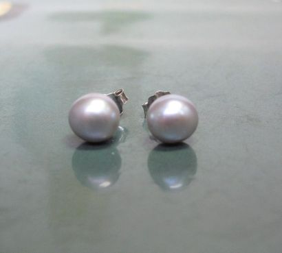 null Paire de puces, serties de perles de culture bouton grises teintées diamètre...