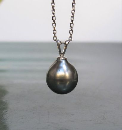null Chaîne en or gris 750°/00, maille forçat et pendentif serti d'une perle de culture...