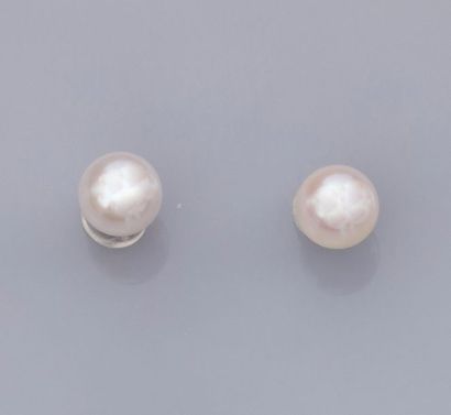 null Paire de boucles d'oreilles serties de perles de culture diamètre 6.5/7 mm,...