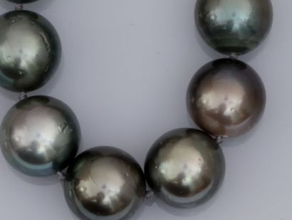   Collier de perles de culture de Tahiti formé de32 perles de diamètre 12.4 à 13.5...