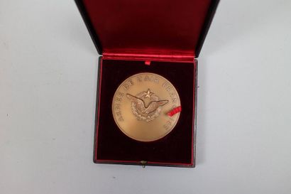 null grande MEDAILLE de table « Armée de l’Air française » attribuée au » général...