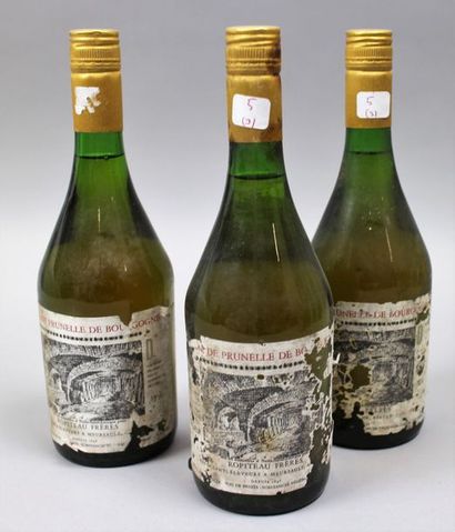 null 3 bouteilles DE PRUNELLE de BOURGOGNE - ROPITEAU Etiquettes tâchées abîmées...