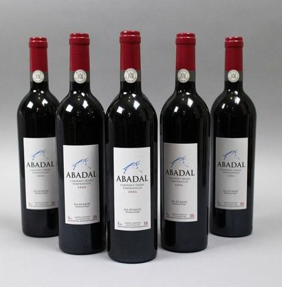 null 5 bouteilles Espagne - ABADAL CABERNET FRANC TEMPRANILLO 2006