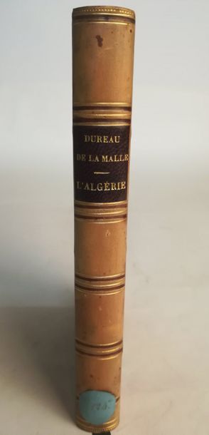 null DUREAU DE LA MALLE

L'Algérie. Histoire des guerres des Romains, des Byzantins...