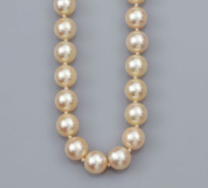   Collier de perles de culture diamètre 7/7.5 mm (Japon), fermoir cylindre en or...