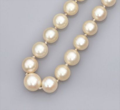   Collier de perles de culture en chute diamètre 5.8 à 8.5 mm (Japon), fermoir en...