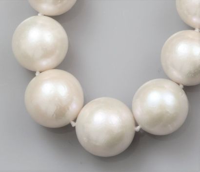   Collier formé de 32 grosses perles de culture de diamètre 12 à 14.8 mm, fermoir...