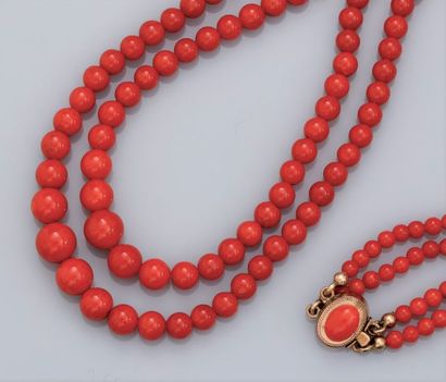   Collier formé de deux rangs de boules de corail rouge diamètre 3 à 8 mm, fermoir...