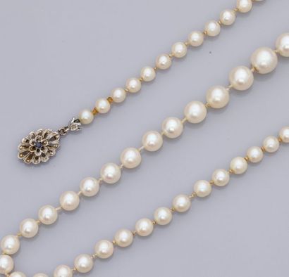 null Collier de perles de culture Aboya en chute diamètre 4.7 à 8 mm, fermoir en...