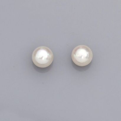 null Paire de boucles d'oreilles serties de perles de culture diamètre 7.5/8 mm (Japon)...