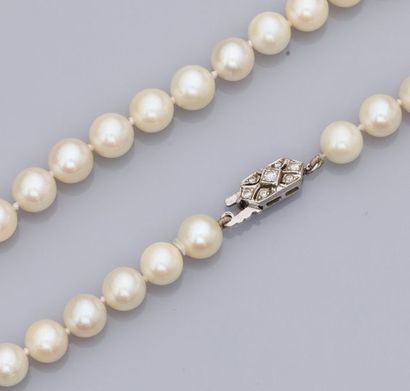 null Collier de perles de culture Aboya diamètre 6.5 à 7 mm, fermoir en or 750°/00...