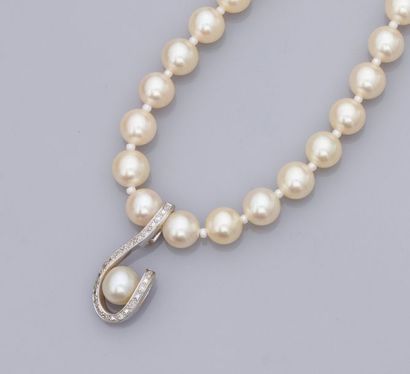 null Collier de perles de culture Aboya en diamètre 6.5/7 mm, motif central en or...