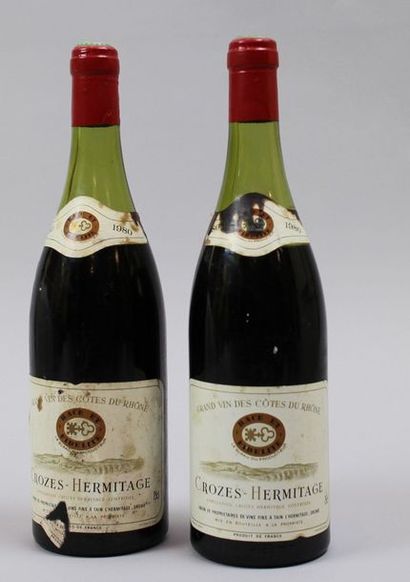 null Deux bouteilles CROZES HERMITAGE – Cave de Tain. 1980. Niveaux bas