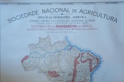 null BRESIL-CARTE D'AGRICULTURE DU BRESIL EN COULEURS - Sociedade Nacional de Agricultura,...